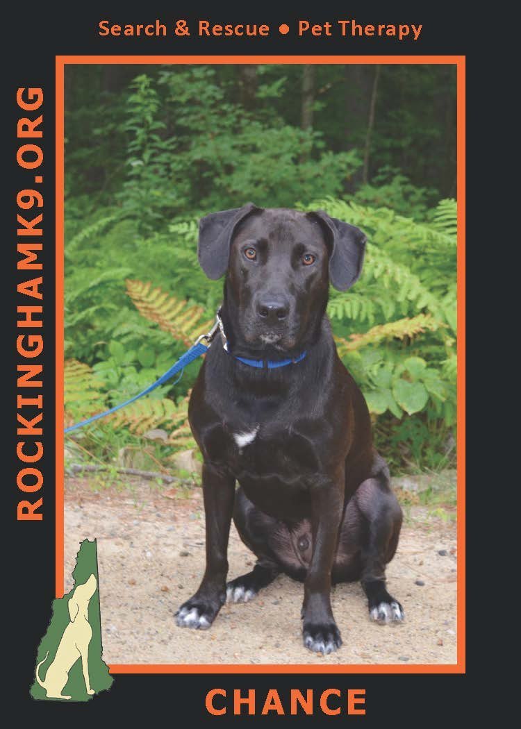 Original Rockingham K9 search and rescue print design featuring Chance.