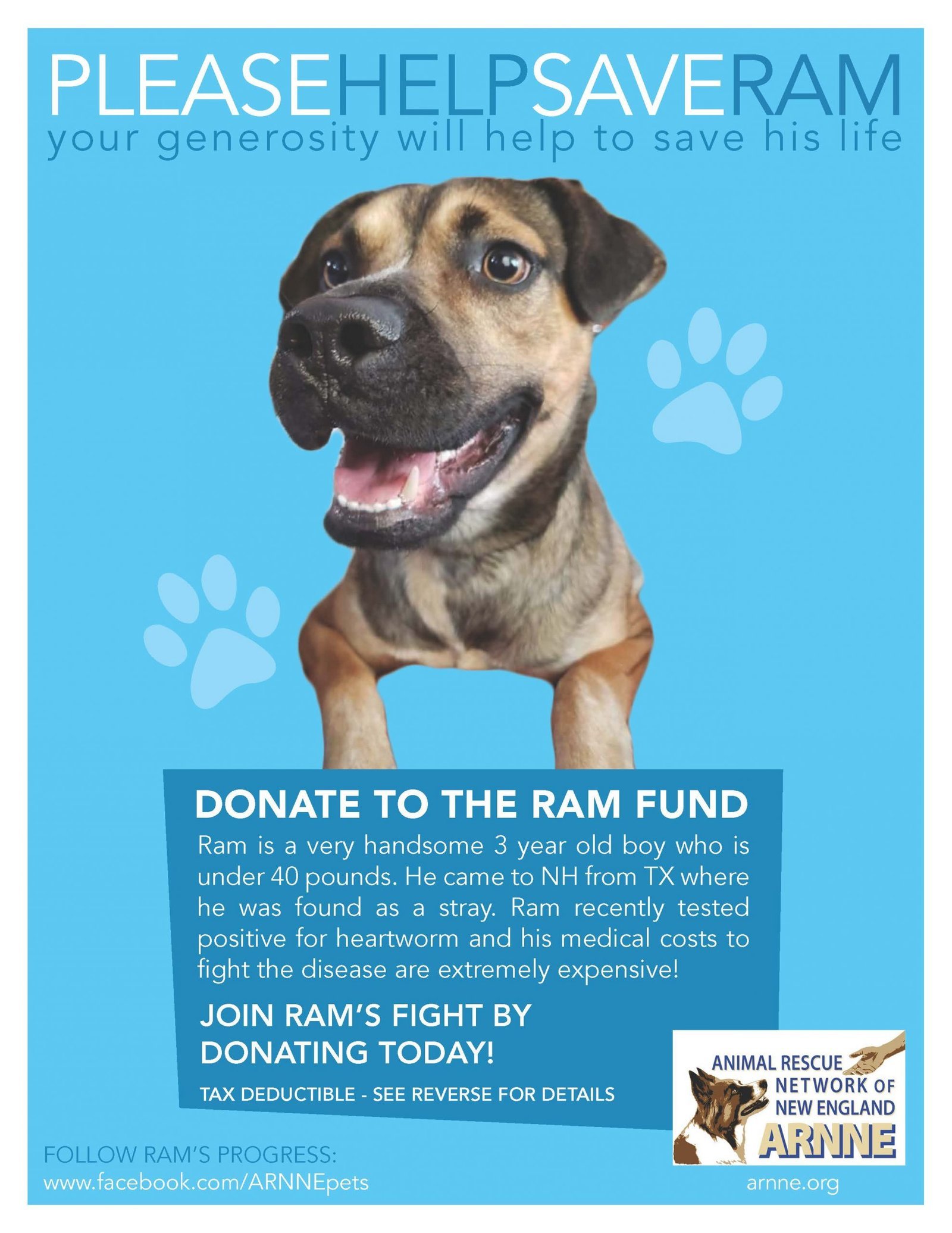 Original Ram Fund donation flyer featuring Ram.